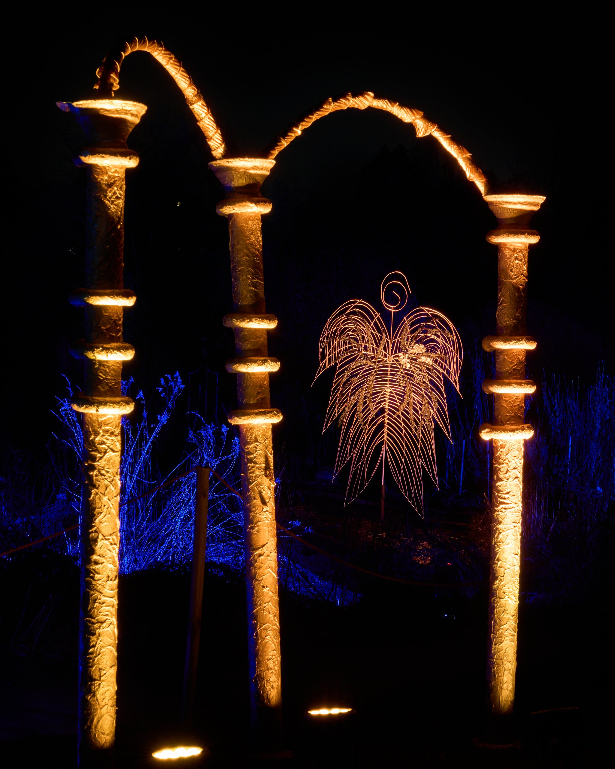 2026 02 05 Parkleuchten 0433